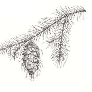 Meet your Posher, Jesse